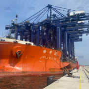 We Installed Fenders And Bollards for ABU QIR MARINE PORT CONTAINER TERMINAL PROJECT. (JDA、steel-ladder)
