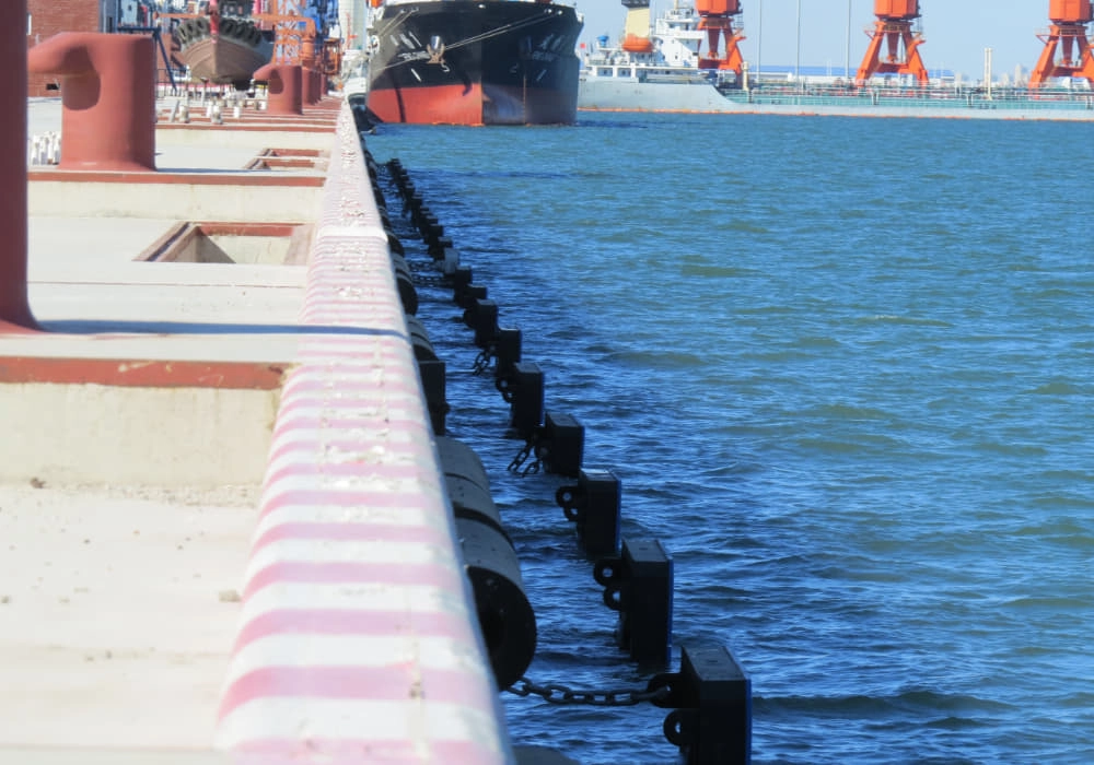 Marine Project